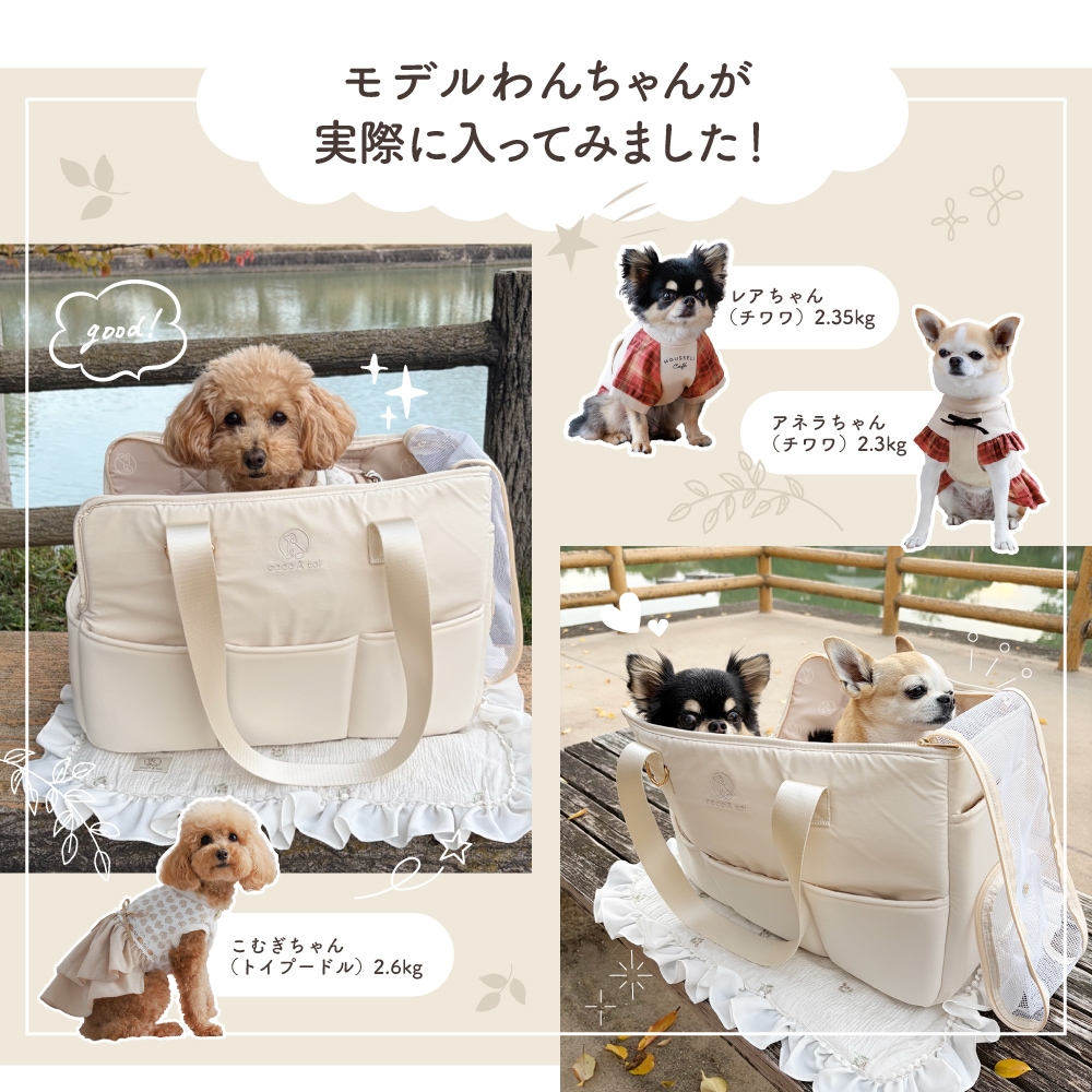 多機能キャリーバッグ ｜ アイボリー 2way 軽量 耐荷重5kg 斜め掛け